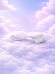 BROSSE DURE